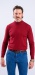 Burgundy rollneck