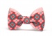 Cotton bow tie