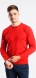 Red cotton crewneck