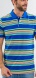 Bold striped polo